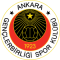 Gençlerbirligi SK