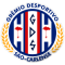 Grémio Desportivo São Carlense