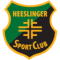 Heeslinger SC