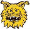 Ilves Tampere W