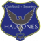 Los Halcones