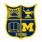 Michigan Stars W