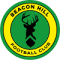 Mint Hill FC