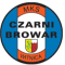 Mks Czarni Witnica