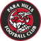 Para Hills Knights SC Reserve