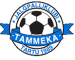 Tartu JK Tammeka