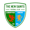 The New Saints FC U19