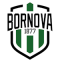 Viven Bornova Fk