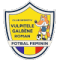 Vulpitele Galbene Roman FC
