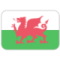 Wales U21