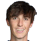 Ehrenschneider, Nino